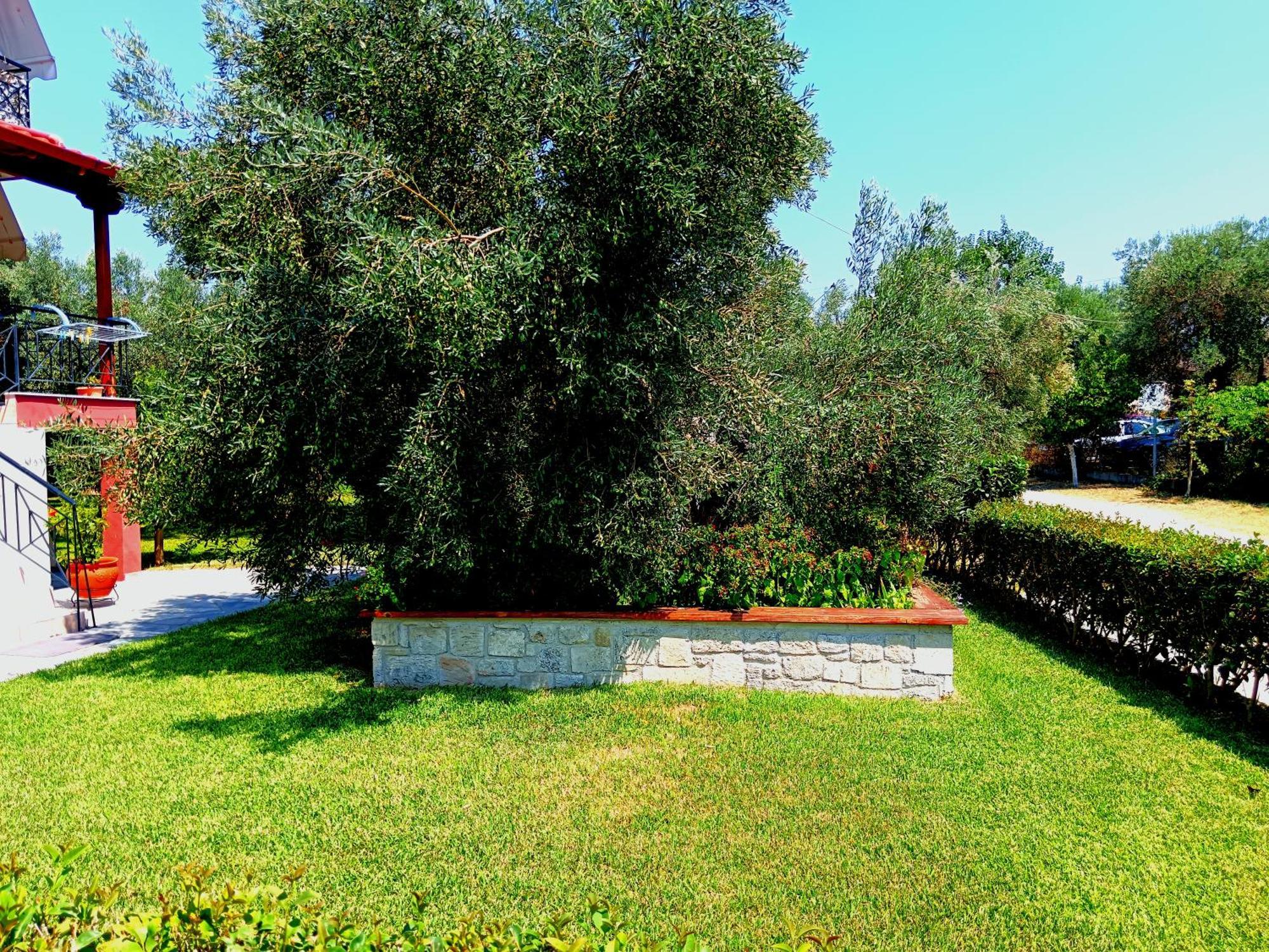 Giorgos Apartments Skala Fourkas Bagian luar foto