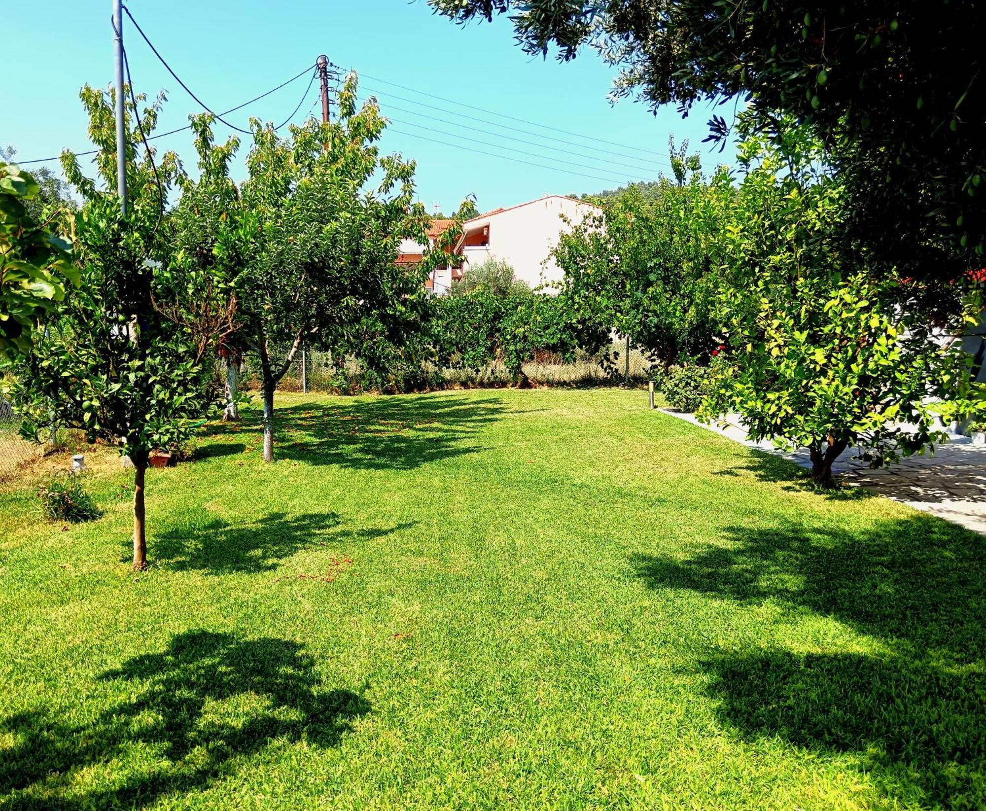 Giorgos Apartments Skala Fourkas Bagian luar foto